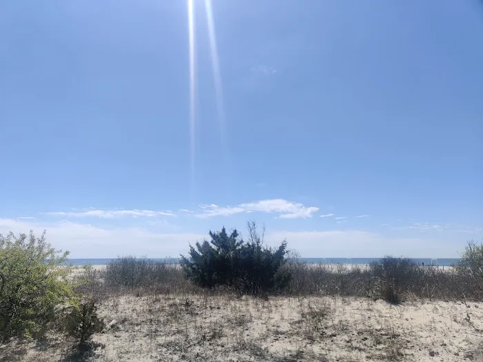 Cape May Beach Yoga with Kelsy 4