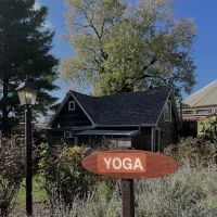 Yoga Underground ico