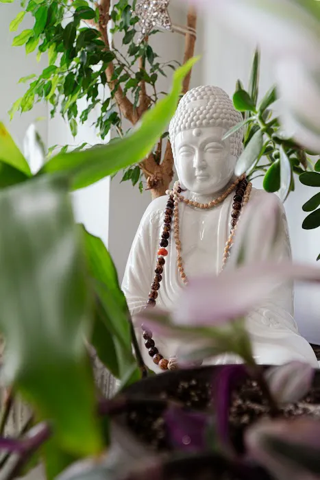 The Yoga Studio 4