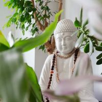 The Yoga Studio ico