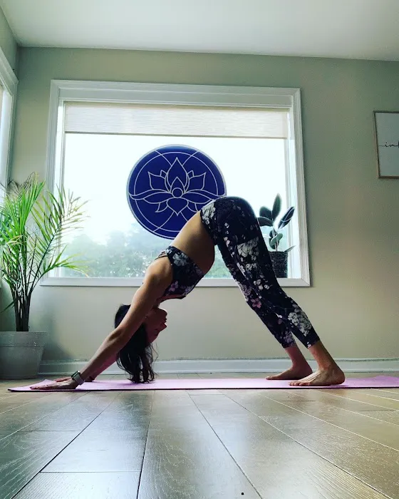 Lotus Strength Yoga 4