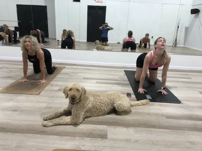 Studio SOL Yoga & Pilates Hershey, PA 4