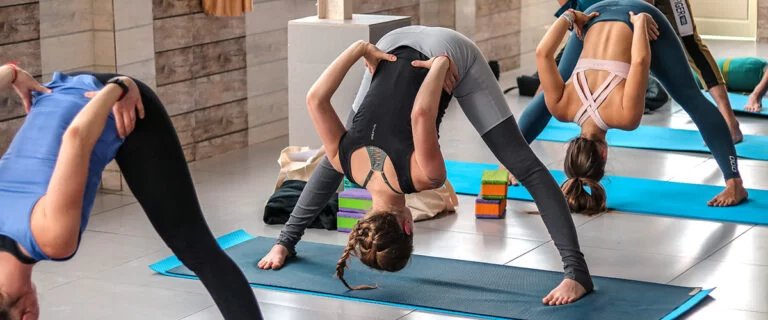 Discover the Best Online Yoga Classes for Beginners to Start Your Journey
