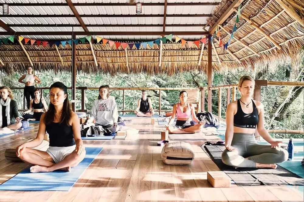 Best Yoga Teachers for Personal Growth: Find the Ideal Instructor for Your Journey