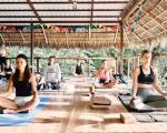 Best Yoga Teachers for Personal Growth: Find the Ideal Instructor for Your Journey